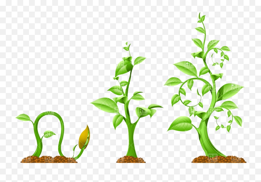 Plant Growth Download Royalty Free Vector File Eps - Growth Emoji,Royalty Free D&d Emoticons