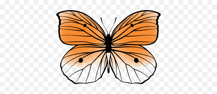 Butterfly Memorial Garden - Butterfly Memorial Garden Emoji,Butterfly Emoji Meaning