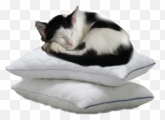 Sleeping Pillows Cat Sticker - Comfort Emoji,Cat Emoji Pillows