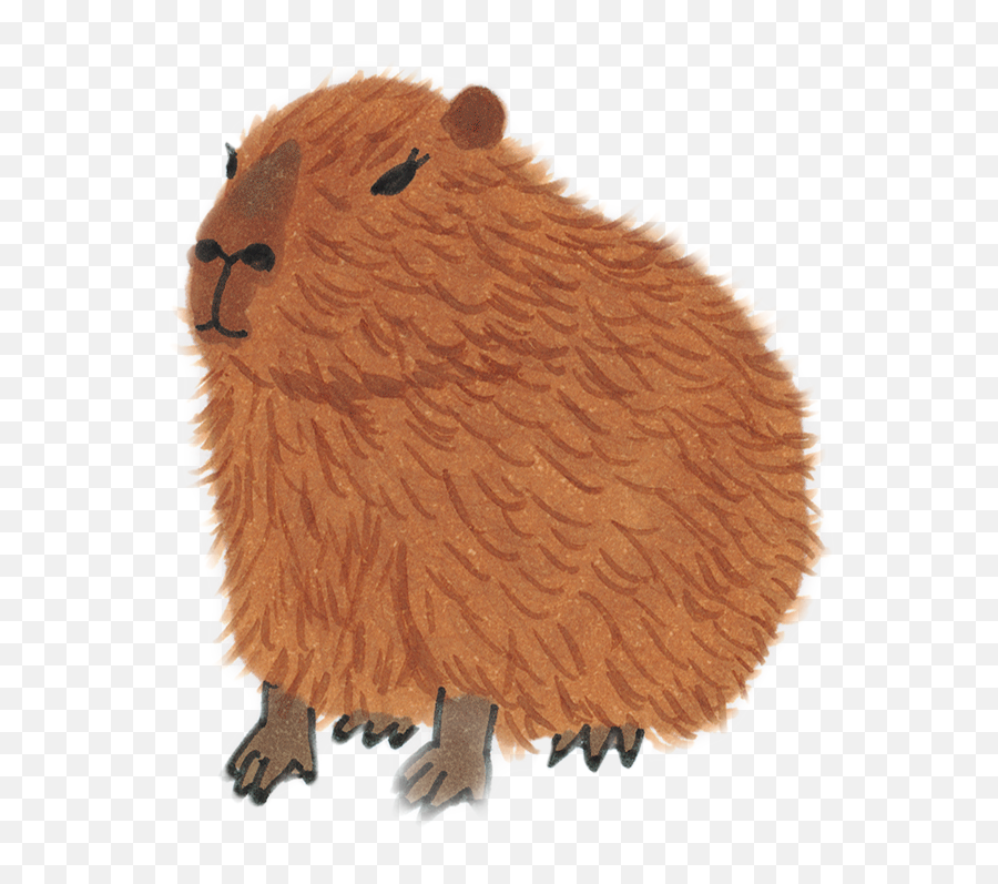 Capivara Capivaras Capybara Sticker - Groundhog Day Emoji,Capybara Emoji