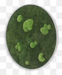 Moss Walls - Green Algae Emoji,Country Corner Decoration And Emotions