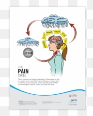 Neuroscience Of Pain Poster Set - Pain Neuroscience Posters Emoji,Emotion Roller Trainer
