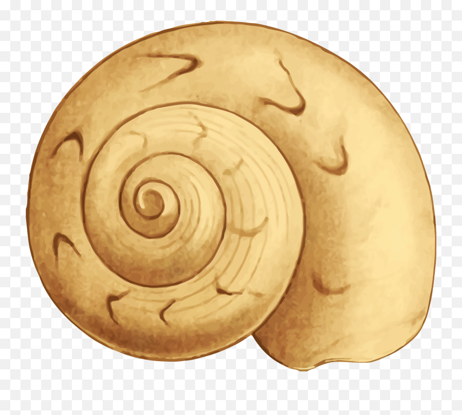 Shell Clipart Shell Spiral Picture 2027920 Shell Clipart - Circle Shells Emoji,Seashell Emoji