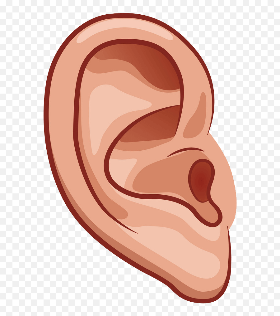 Ear Clipart - Clipartworld Ear Cartoon Emoji,Ear Emoji