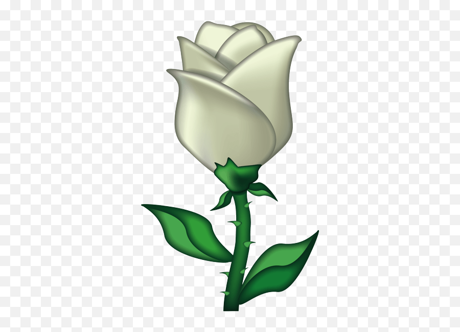 Zonealarm Results - Transparent White Rose Emoji,White Flower Emoji Meaning