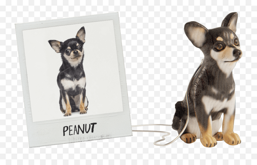 41 Ways To Remember A Lost Pet - Border Collie Blog Vulnerable Native Breeds Emoji,Animal Emotion Poems