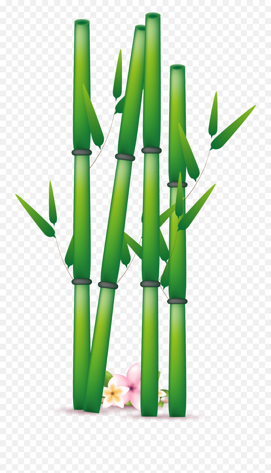 One Clipart Bamboo One Bamboo Transparent Free For Download - Bamboo Clip Art Emoji,Bamboo Emoji