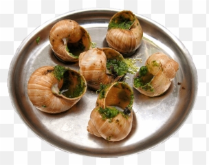 Mu0026mu0027s Orange Pnglib U2013 Free Png Library - Escargots Png Emoji,Can Custom Emoticons Be Used In Escargot
