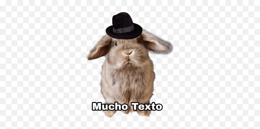 Conejos Groseros Vol 3 - Costume Hat Emoji,Emojis Groseros