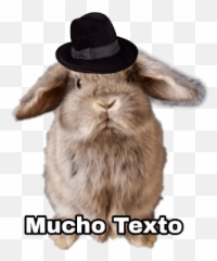 Conejos Groseros Vol 3 - Costume Hat Emoji,Emojis Groseros
