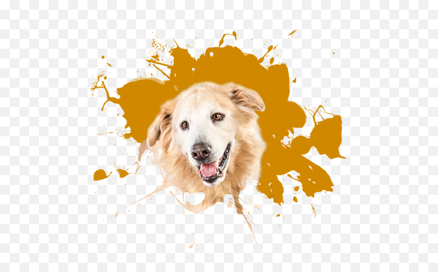 Dog Face Png Transparent Image Png Mart Emoji,Dog Face Emoji Png