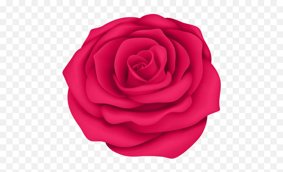 Nueva Rosas Pegatinas Para Chatear - Wastickerapps Apps Op Pink Rose Head Transparent Background Emoji,Flowe Emoji