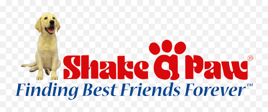 Shake A Paw Shake A Paw - New Jerseyu0027s Puppy Superstore Shake A Paw Emoji,Energy Emotions Paw Paw