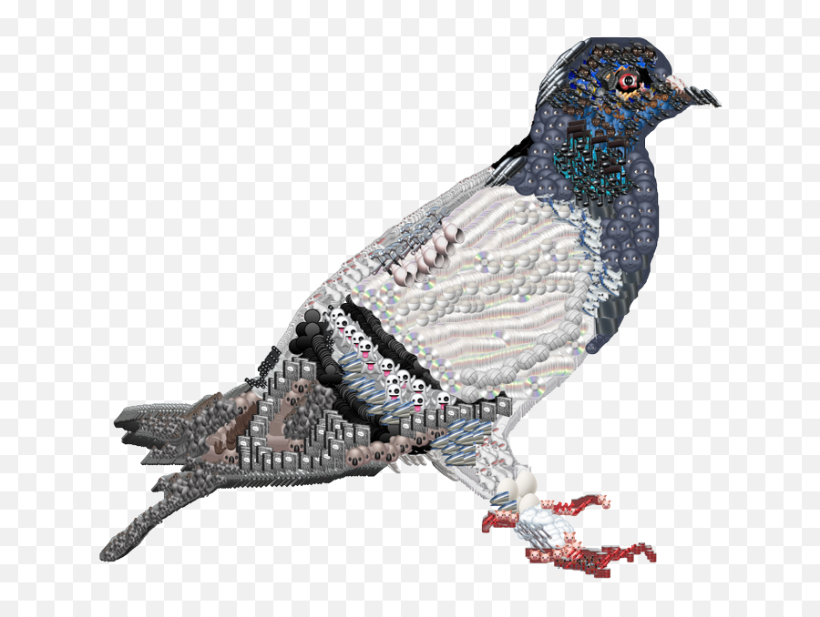 Haeinous On Twitter I Drew A Pigeon My Favorite Animal - Cuculiformes Emoji,Feather Emoji