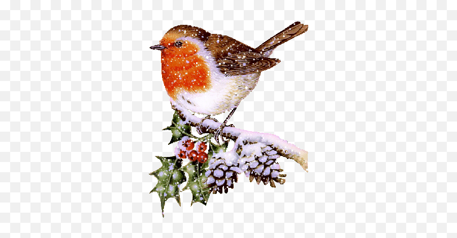 Top Dirty Birdy Stickers For Android U0026 Ios Gfycat - Christmas Robin Clipart Emoji,Robin Emoticons
