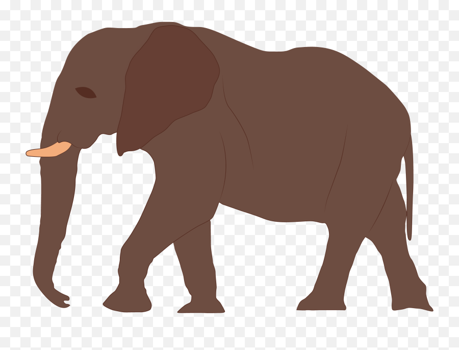Big Falcon Rocket Size Comparison Âu20acu201c Mobile - Elephant Hyde Emoji,Forsaken World Elephant Emojis
