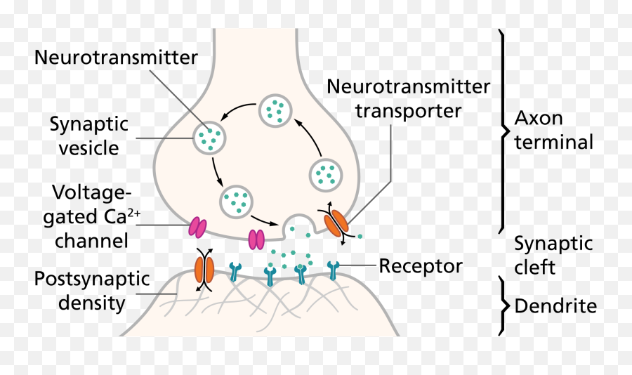 Causing Your Mood Problems - Synaptic Cleft Emoji,Neurotransmitters And Emotions