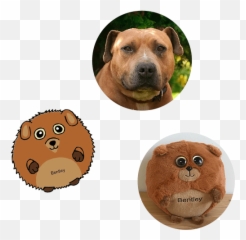 Waggables Pets - Design A Cartoon Stuffed Animal Of Your Pet Emoji,Shar Pei Emoticon