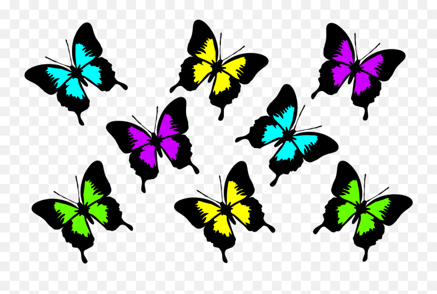 Butterflies Colorful Insect - Free Image On Pixabay Emoji,Emojis Butterfly
