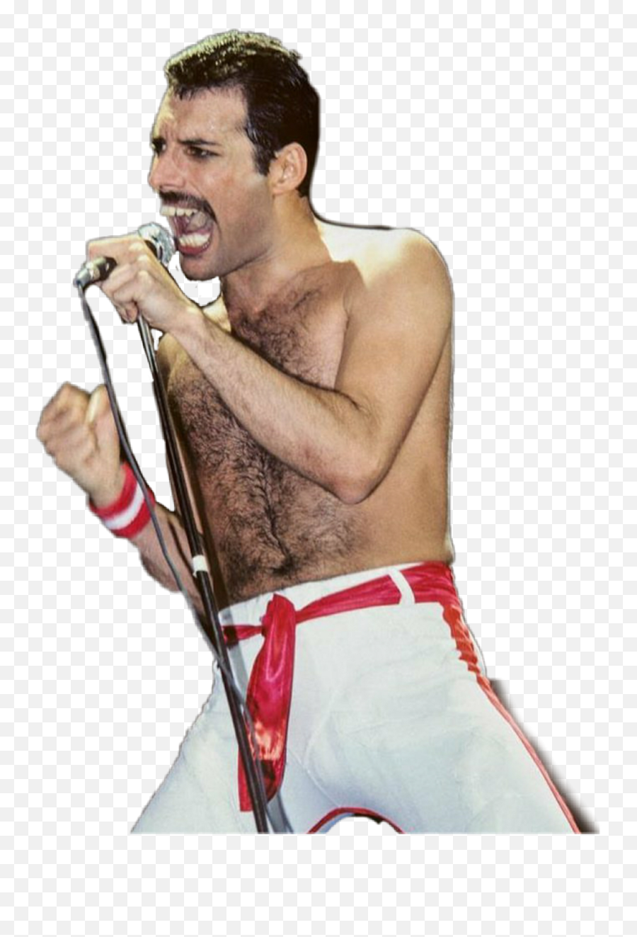 Freddie Mercury Sticker - Transparent Freddie Mercury Png Emoji,Freddie Mercury Emoji