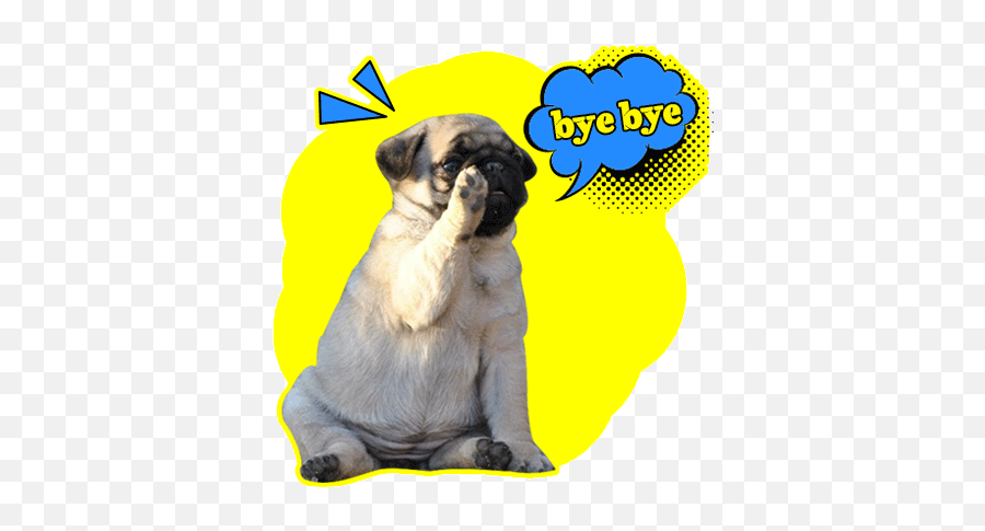 Handsome Pug Puppy Animated By Hung Hoang The - Pug Saying Bye Gif Emoji,Emoji Saying Bye