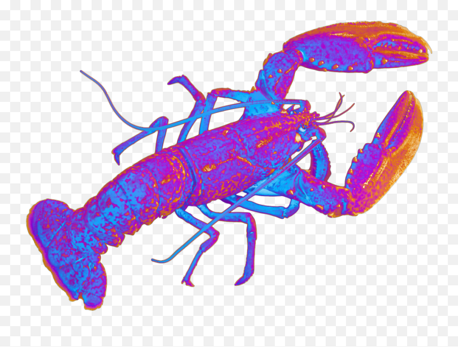 Lobster Animal Sea Holographic Sticker - Crustaceans Png Emoji,Lobster Emoji