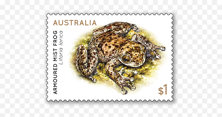 Frogs - Australia Post American Toad Emoji,Spadefoot Toad Emotion