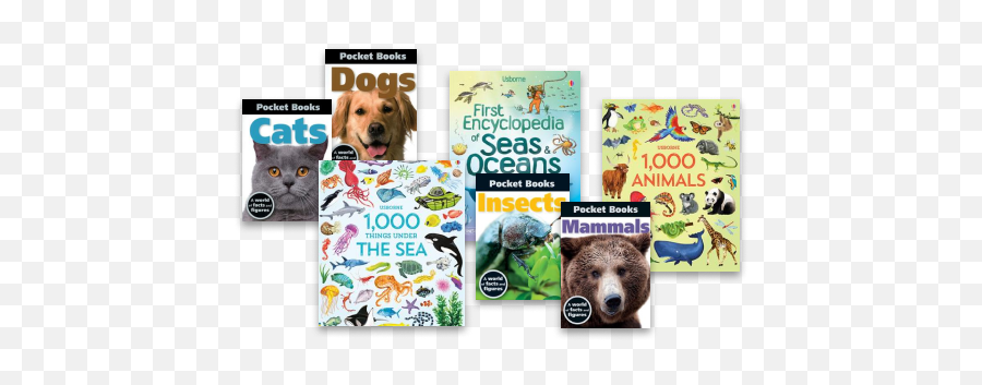 Usborne Books U0026 More Shop Usborne Books - Usborne Animal Book 100 Emoji,Children Books About Animal Emotions