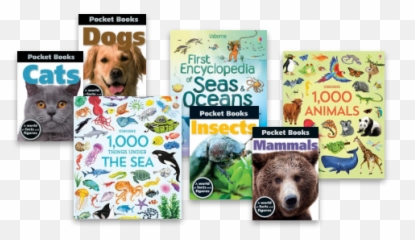 Usborne Books U0026 More Shop Usborne Books - Usborne Animal Book 100 Emoji,Children Books About Animal Emotions