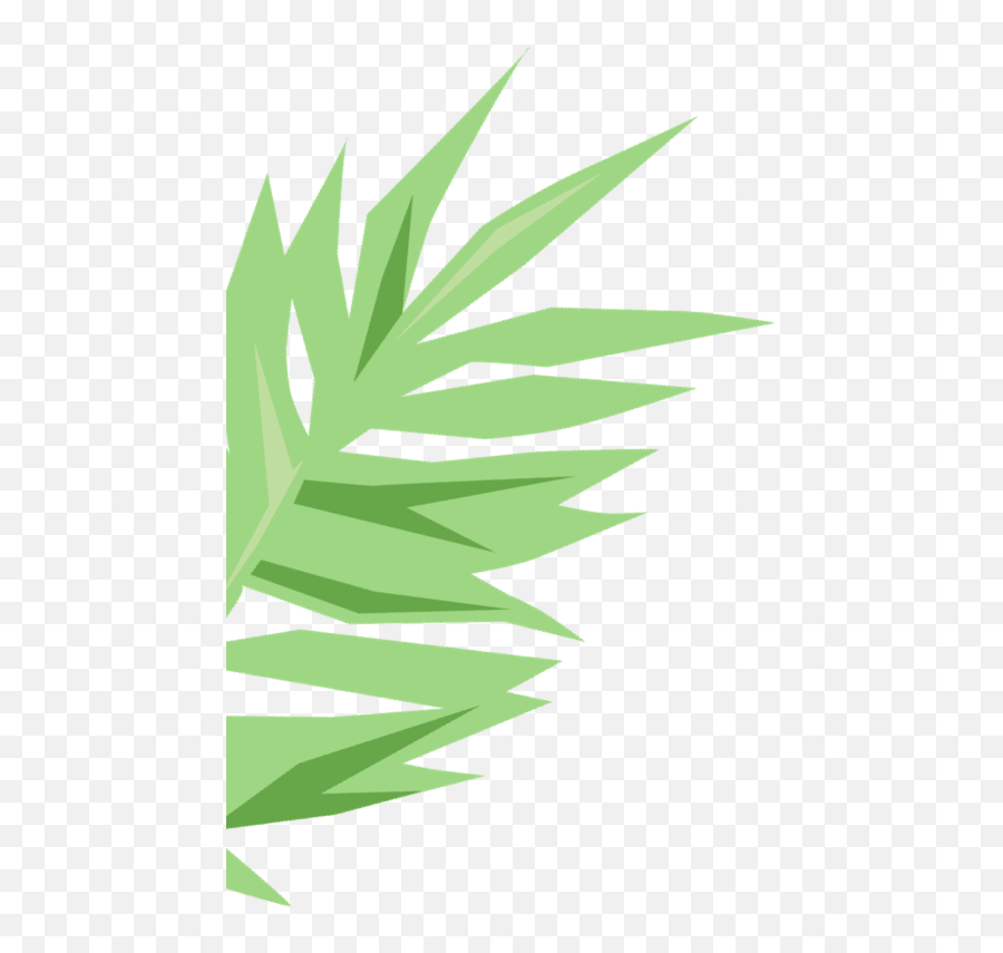 Our Story U2013 Zellee Organic Emoji,Jungle Leaf Emoji
