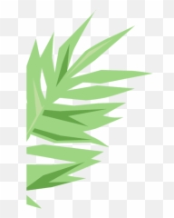 Our Story U2013 Zellee Organic Emoji,Jungle Leaf Emoji