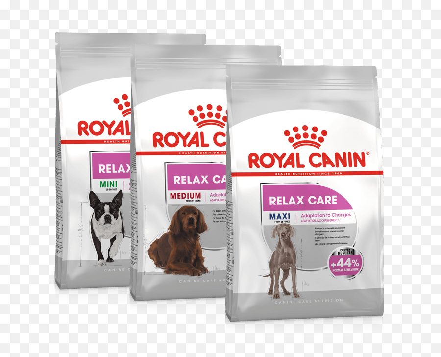 How To Help Your Dog With Storm Phobia Pet Circle - Royal Canin Relax Cat Emoji,Dogs Display Human Emotions