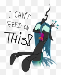 Respond With A Picture - Page 419 Forum Games Mlp Forums Chrysalis I Can T Feed Emoji,Dumb And Dumber Emoticons Text