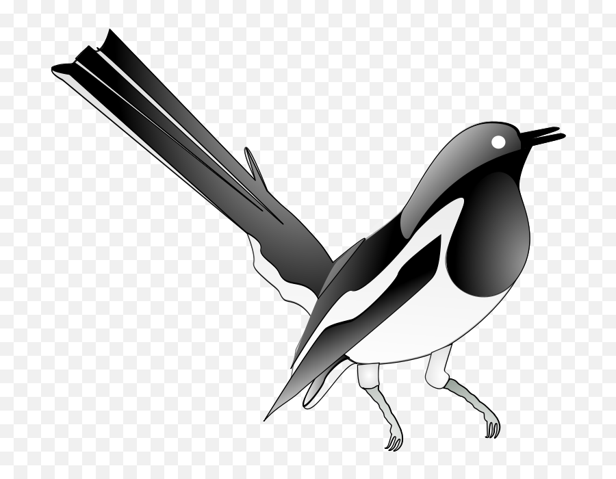 Free Clip Art Oriental Magpie Robin By Salahuddin66 - Magpie Robin Clipart Emoji,Robin Emoticons