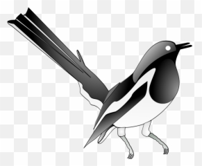 Free Clip Art Oriental Magpie Robin By Salahuddin66 - Magpie Robin Clipart Emoji,Robin Emoticons