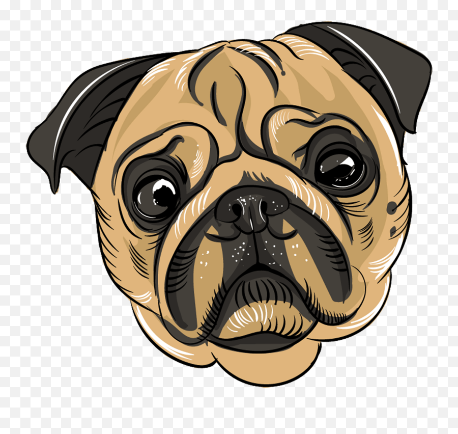 Pug Head Clipart - Transparent Pug Face Png Emoji,Chow Cho Discord Emojis