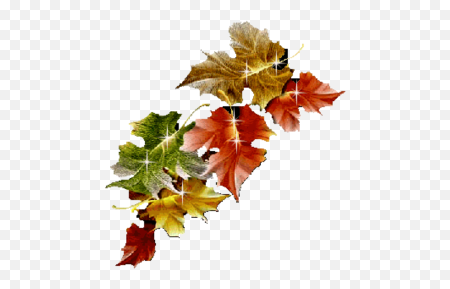 Photo Thanksgiving - Borderclipart Thank You Gif With Leaves Emoji,Emoticons Thanksgiving