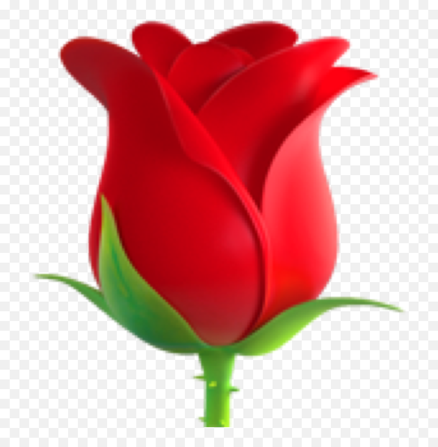 Flower Flowers Emojiflower Emojis - Rose Emoji Png,Emojis Flowers