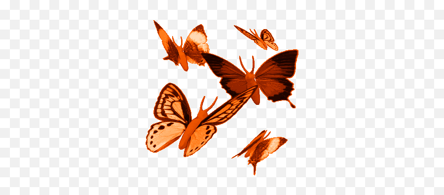 Top Acupuncture In Orange County Stickers For Android U0026 Ios - Orange Butterfly Gif Transparent Emoji,Acupuncture Emoji