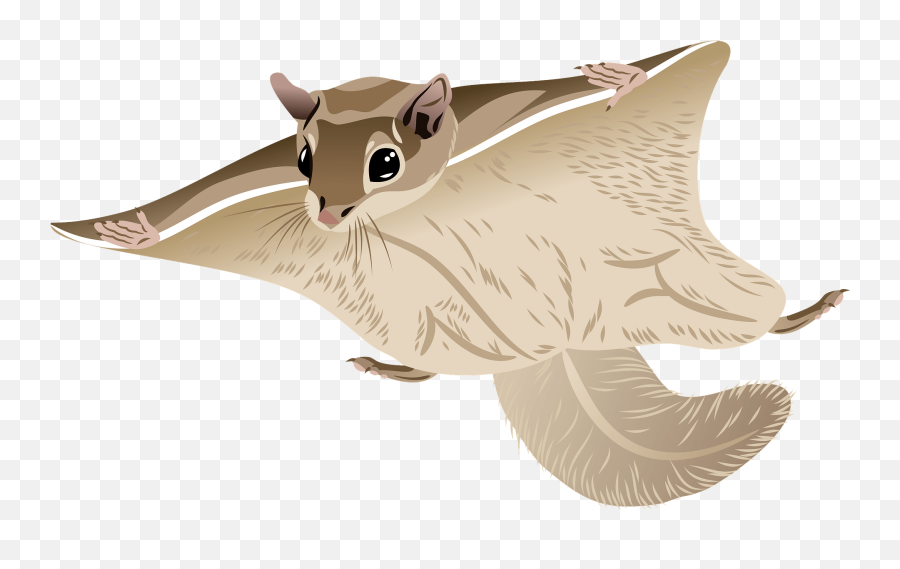 Woolly Flying Squirrel Clipart - Flying Squirrel Cartoon Transparent Emoji,Red Squirrel Emoji