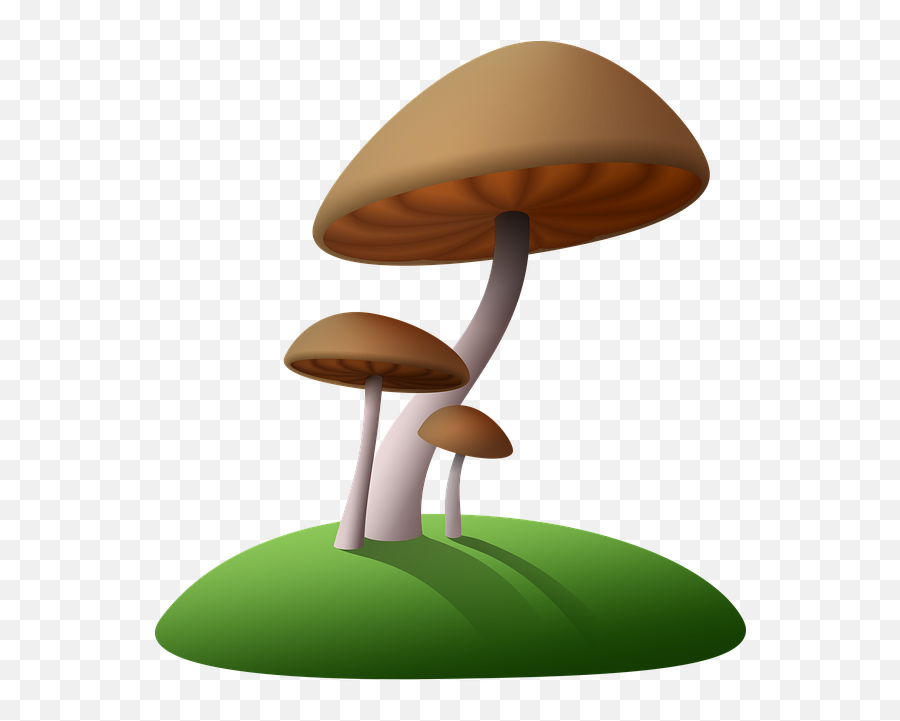 Free Photo Fungi Anime Super Mario Bros - Transparent Background Mushroom Clip Art Emoji,Mario Mushroom Emoticon