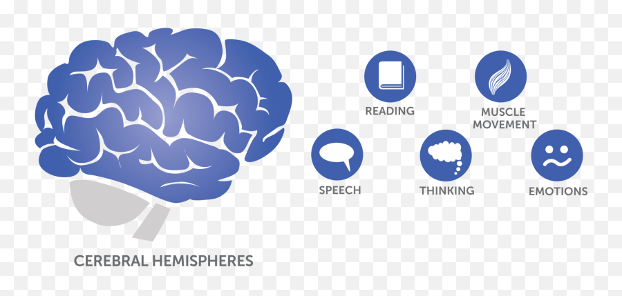 What Is Glioblastoma Gbm Optune - Glioblastoma Multiforme At Glance Emoji,Emotions Parts Of Speech