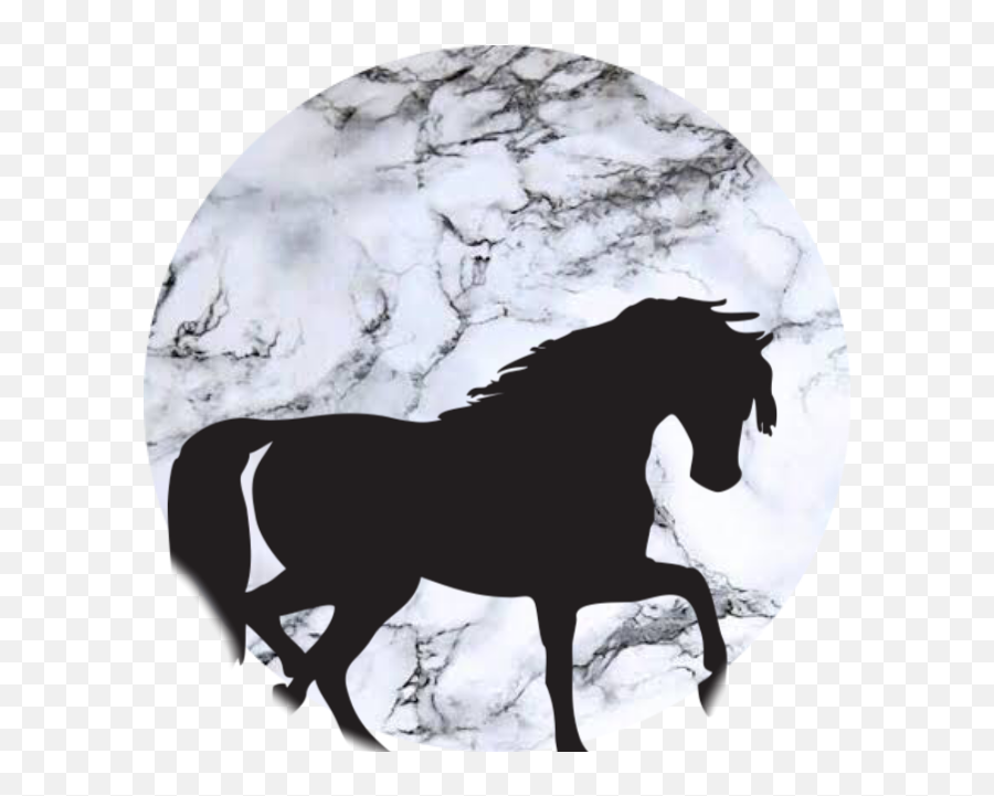 Hose Sticker By Sarasandkild - Horse Silhouette Clip Art Emoji,Hose Emoji
