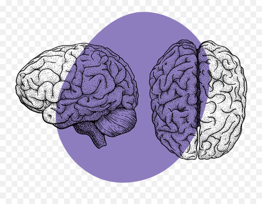 Whats The Default Mode Network - Brain Emoji,Shiutting Off Neural Activity Relating To Emotion