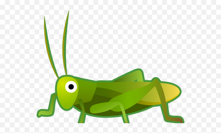 Grasshopper Png - Cricket Insect Icon Png Emoji,Grasshopper Emoticon Small Icon-size