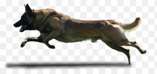 Dog Running Png 3 - Dog Runnig Gif Transparent Emoji,Gsd German Shepard Emojis