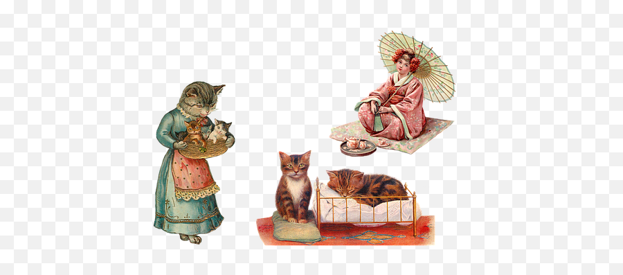 700 Free Sleep U0026 Bed Illustrations - Pixabay Obrigado Pelo Seu Carinho Emoji,Cat And Zzz Emoji