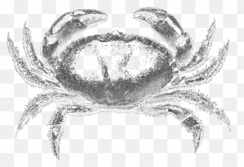 Attack On Quest Sidequest Emoji,Crabs Emotion