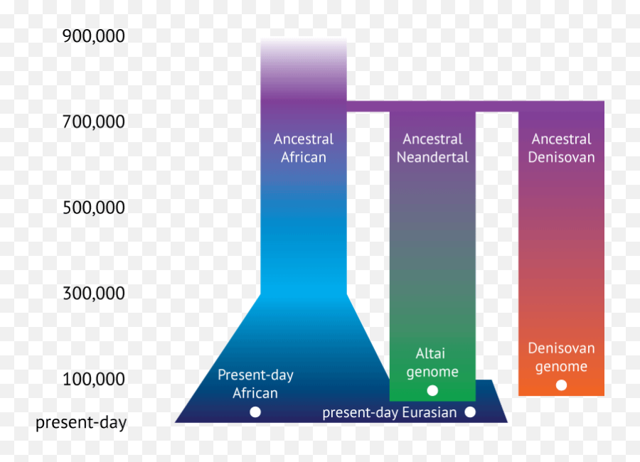 How Long Ago Did Neandertals And Denisovans Part Ways Emoji,Neanderthal Strong Emotion