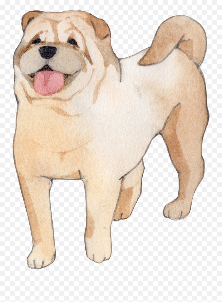 Sharpei - Schnauzerdeild Emoji,Cute Stim Picture Emoji